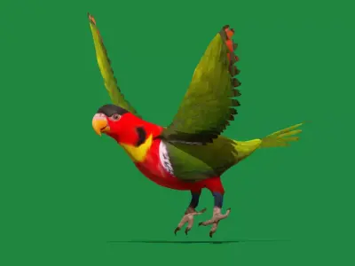 Yellow Bibbed Lory Parrot Bird Free 3D model