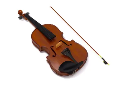 violin 3d model 3D model