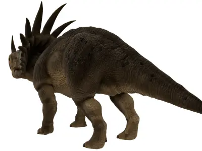 Styracosaurus 3D model purchase