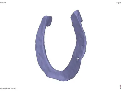 Set of three antique rusty horseshoes 3D model