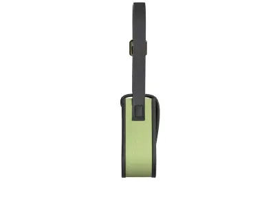 Yellowish green Leather Flap Bag 3D model