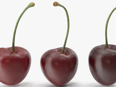 Cherries 3D model purchase