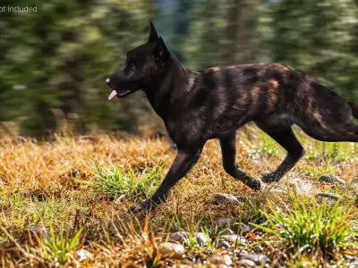 Dutch Shepherd Dog Walk Fur Animated Rigged For Maya 3D model