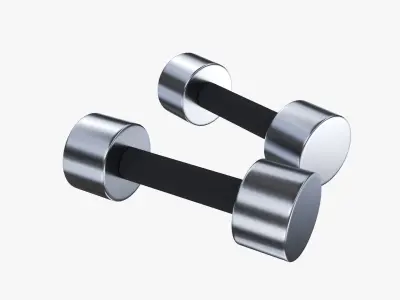Dumbbell pair 3D model