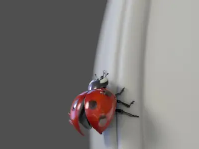 Ladybug (Animated) (V-Ray Fur) 3D model