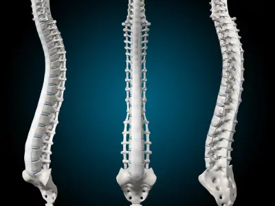  Spine Ultimate 