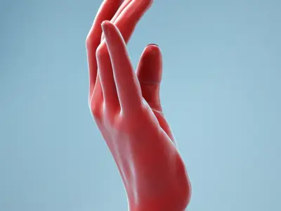 Female Hand 1 3D model