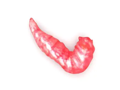 Red Maggot 3D model
