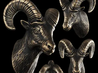 Ram Goat Head Trophy by lllax 3D model