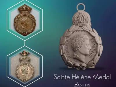 French Saint Helena Medal 3D print model