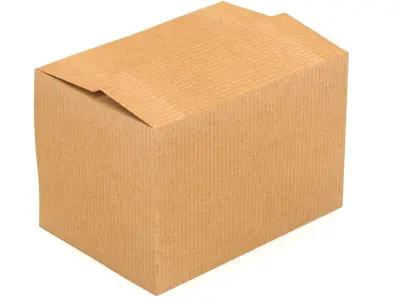 Cardboard Box 01 3D model