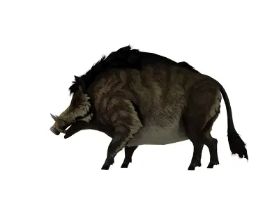 Wild Boar Creature 3D Model  Rigged Game Ready Fantasy Animal Low-poly 3D model