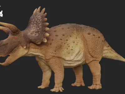 Triceratops Low-poly 3D model 4