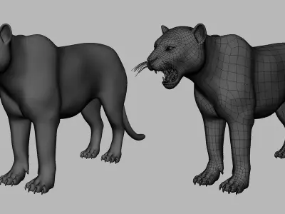 Tiger Topology Uv Map Free 3D model