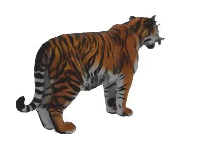 Tiger Low-poly 3D model buy