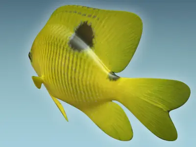 Yellow Fish 3D model