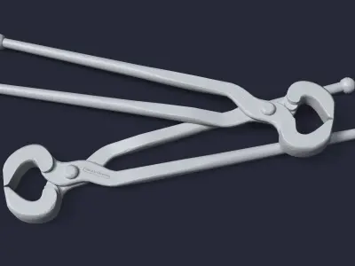 Ticks pincer 3D model