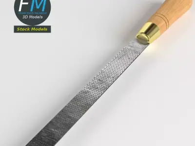 Rasp tool 3D model