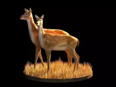 Deer 3d model two in grass Low-poly 3D model