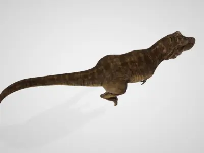 Tyrannosaurus Rex 3D model buy