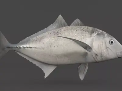 Trevally Fish 3D model purchase