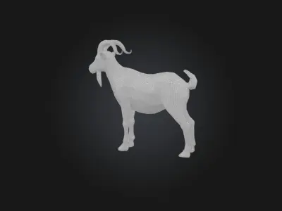 Realistic Goat Model Low-poly 3D model