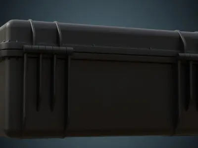 Protective Case 1A Low-poly 3D model