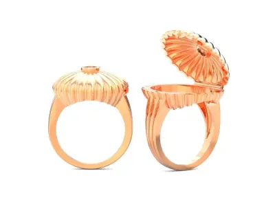 vintage  Borgia venom secret open ring 671 3D print model