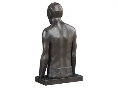  Melancholic male torso in metal 
