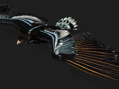 Eagle A4 3D model