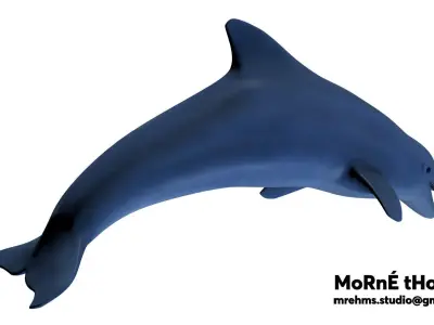 Dolphin Free 3D model buy