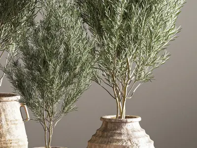 indoor plant set 16 3D model