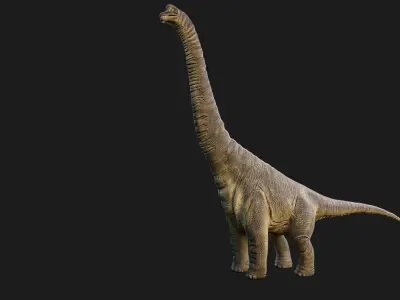 Brachiosaurus 3D Model - Realistic and Versatile 3D model Low-poly 3D model