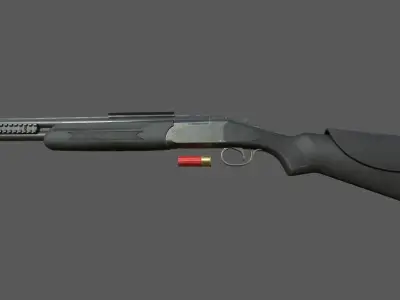 DOUBLE DEFENSE SHOTGUNS Low-poly 3D model