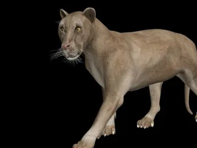 3DS Max Lion Rigged Low-poly 3D model
