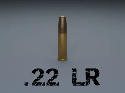 Common Bullet Types 3D model