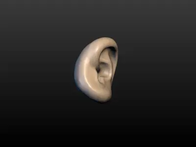 Round Ear 3D print model