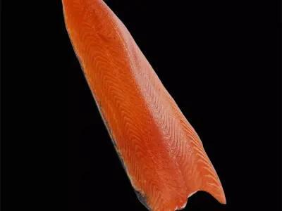 Fish 2 3D model