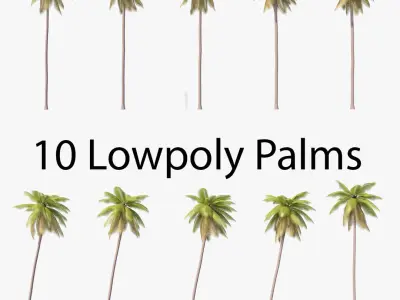 Palms Lowpoly Set 02 with LODs 3D model