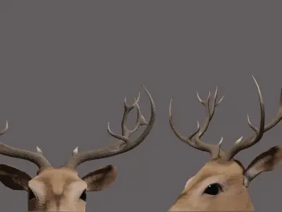 Deer 3D model with antlers Low-poly 3D model