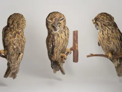 Owl 05 Low-poly 3D model