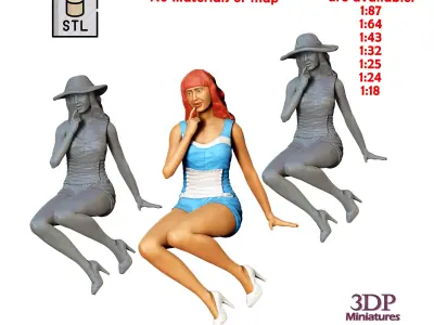 N11 Pin-up girl 3D print model