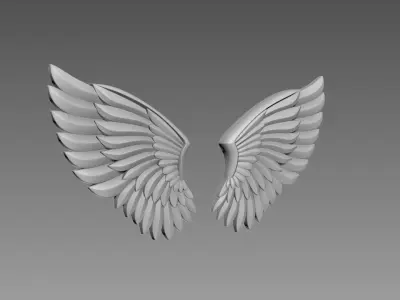 Wings relief 3D model purchase