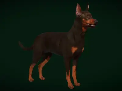 Zwergpinscher Dog Breed Free low-poly 3D model
