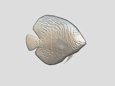 Discus  Realistic Animated Low-poly 3D model