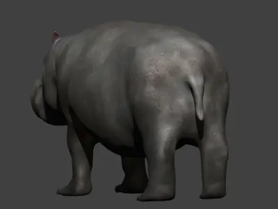 Hippopotamus fully rigged Low-poly 3D model