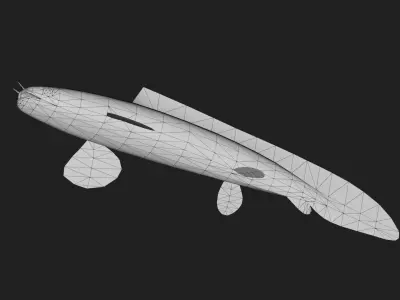 Bichir Low-poly 3D model