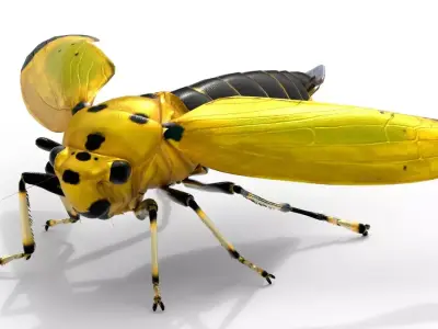 Black tipped Leafhopper Free low-poly 3D model