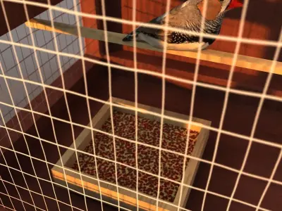 bird cage 3D model 2