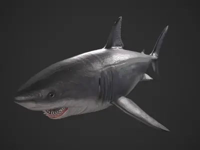 Great White Shark Low-poly 3D model 3